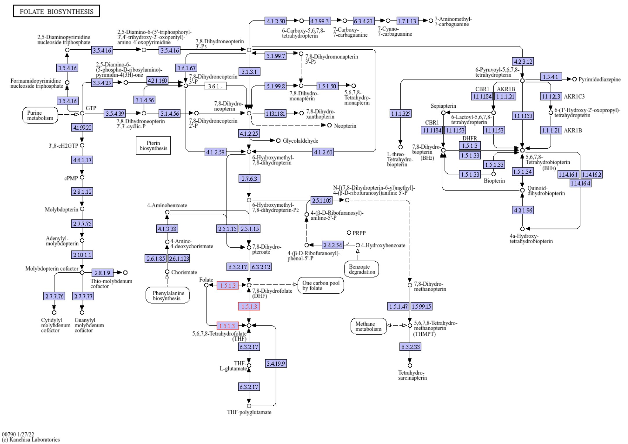 A figure showing the ko00790 Folate biosynthesis pathway.